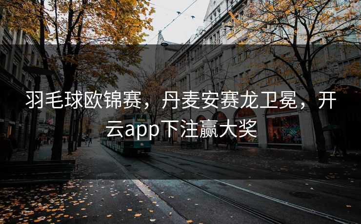 羽毛球欧锦赛，丹麦安赛龙卫冕，开云app下注赢大奖