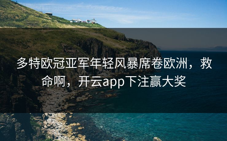 多特欧冠亚军年轻风暴席卷欧洲，救命啊，开云app下注赢大奖